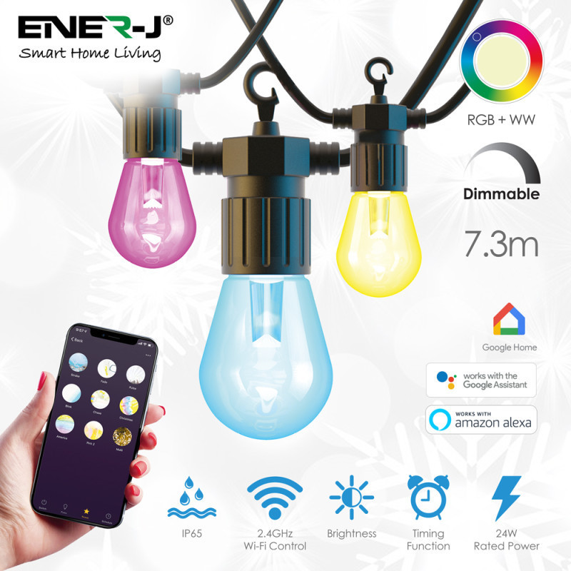 SMART LED RGB Festoon Lighting